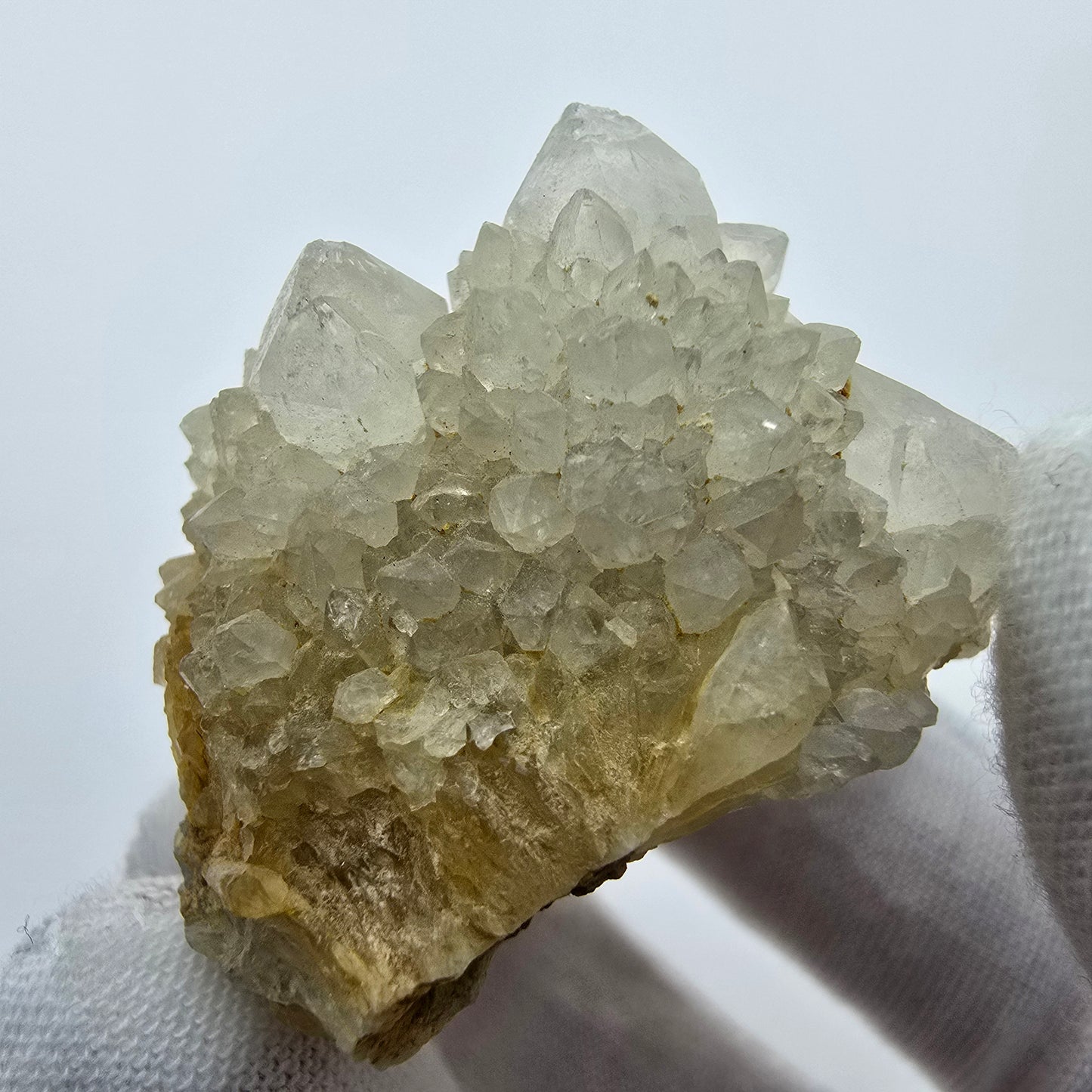 Kaktusquarz, Spirit Quarz XX Stufe Boekenhouthoek, Südafrika 43*38*30mm Sammlung