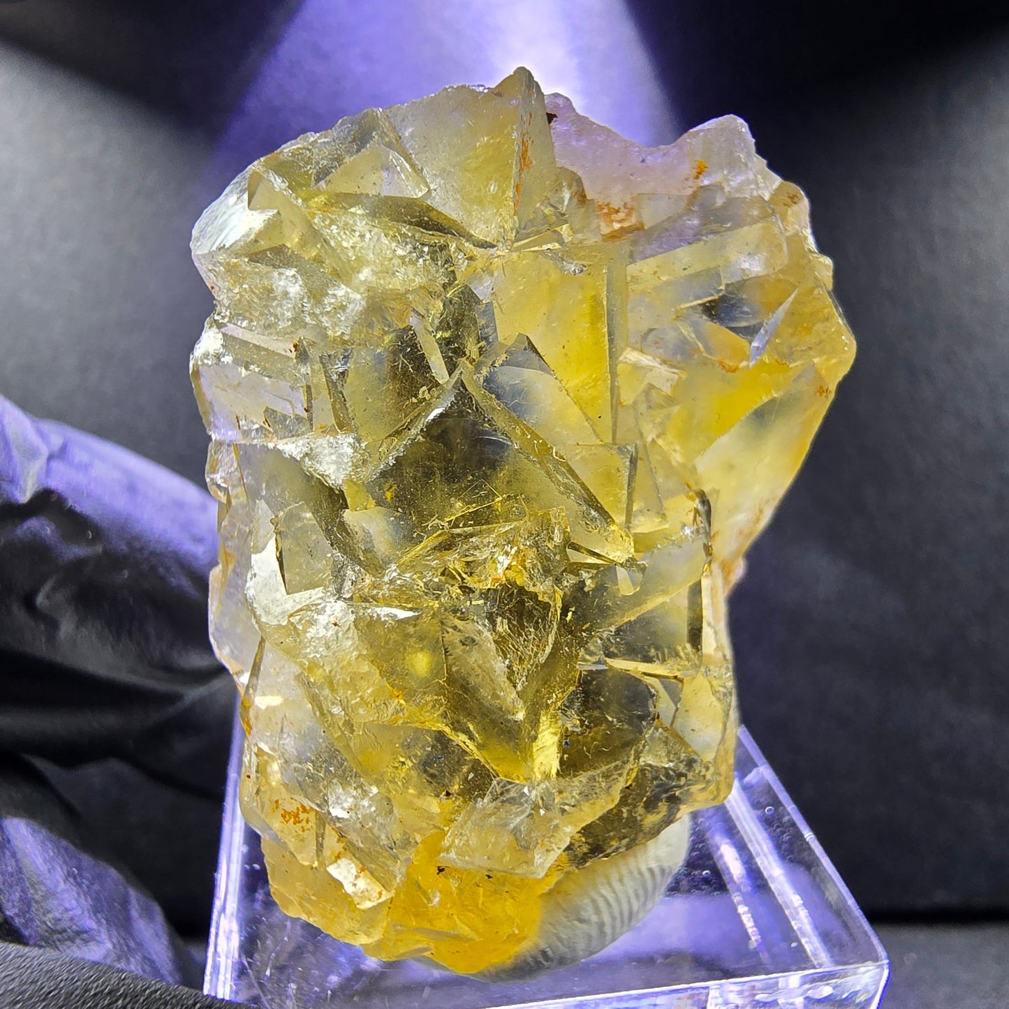 Seltene Honey Pocket Phantom Fluorit XX Würfel Stufe 35*26*14mm Okorusu, Namibia