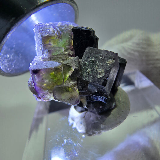 Fluorite fantôme colorée, Spécimen de tourmaline muscovite Schorl, Erongo, Namibie, 20 x 16 x 16 mm