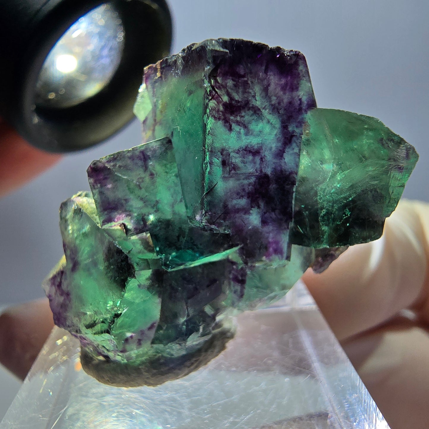 Phantom Fluorit Würfel Stufe, parkettiert grün lila Okorusu, Namibia 34*25*12mm