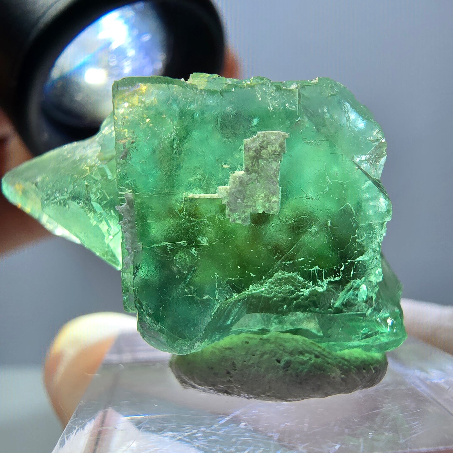 Spécimen de cube de fluorite fantôme, parquet vert Okorusu, Namibie 35*26*24 mm