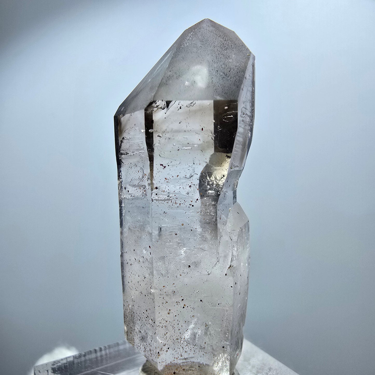 Enhydro Phantom Rauchquarz DT Zepter, 1x Blase Goboboseb, Namibia 45*15*13mm