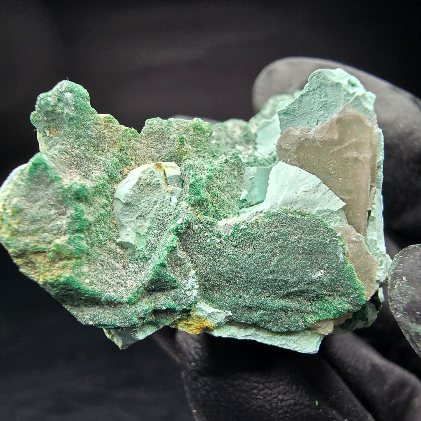 Seltene Malachit, Chrysokoll Stufe Kaokoveld, Namibia 41*25*19mm Sammlung