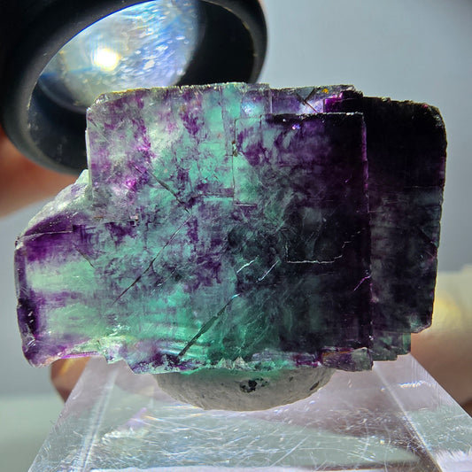 Seltene Fluorit Würfel Stufe, grün lila Okorusu, Namibia 38*23*18mm