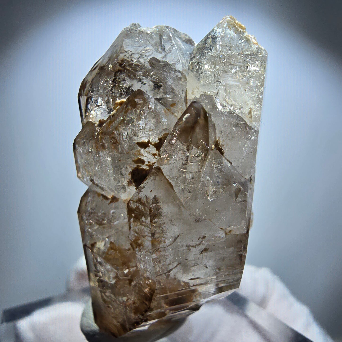 Phantom Rauchquarz DT Fenster Zepter Kristall Goboboseb, Namibia 54*27*27mm