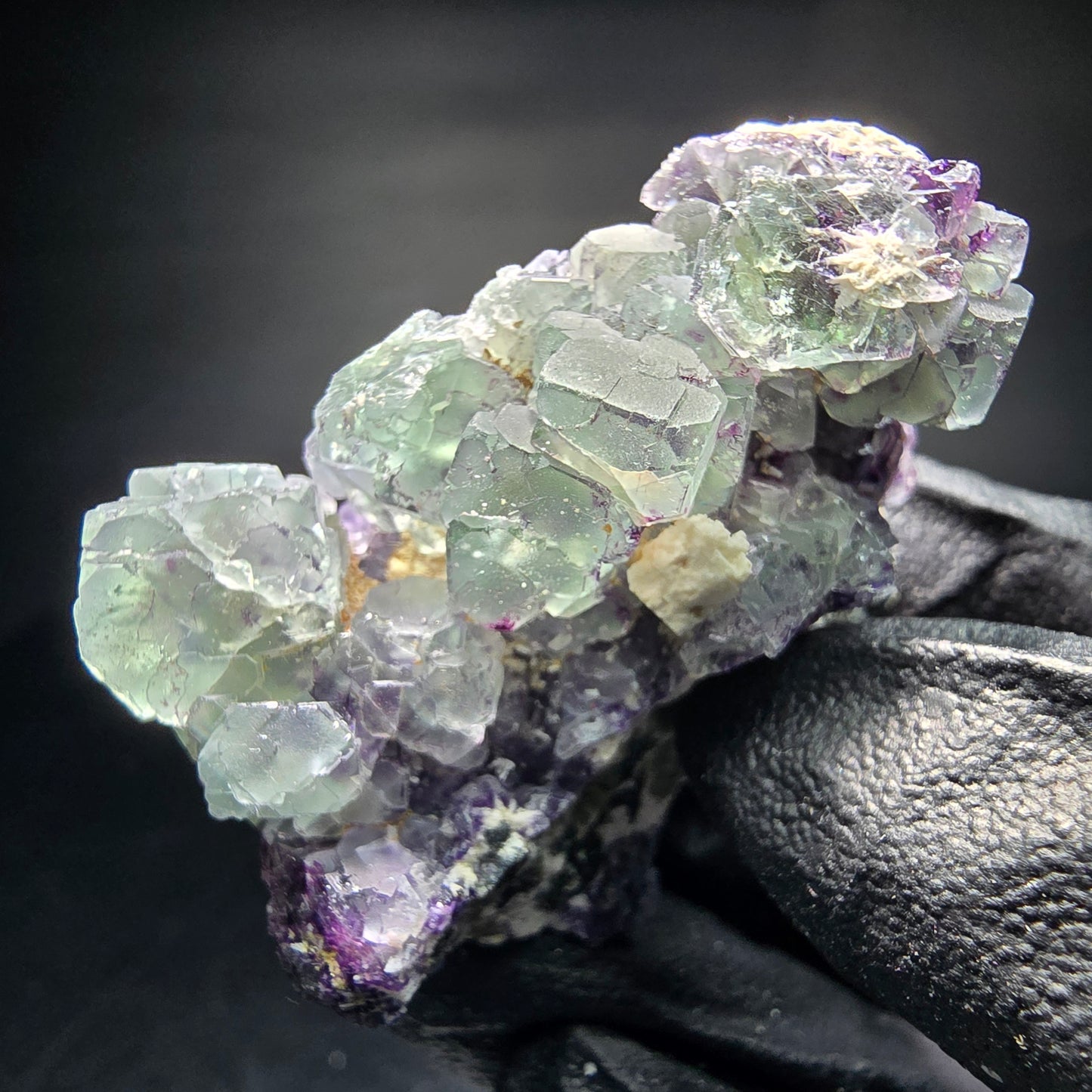 Klare zonare Fluorit Würfel auf Schörl Turmalin Stufe Erongo, Namibia 51*41*26mm