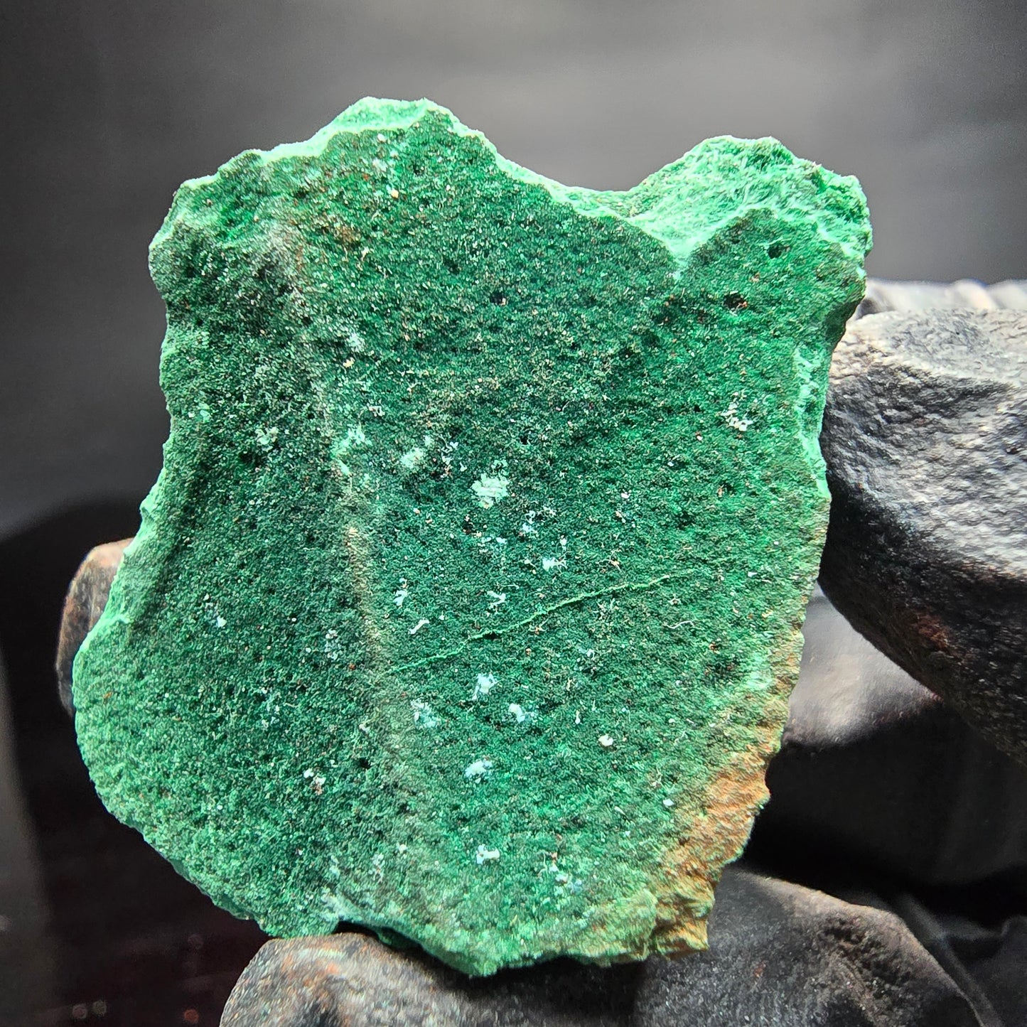 Seltene Malachit auf Matrix Stufe grün Kaokoveld, Namibia 40*32*22mm Sammlung