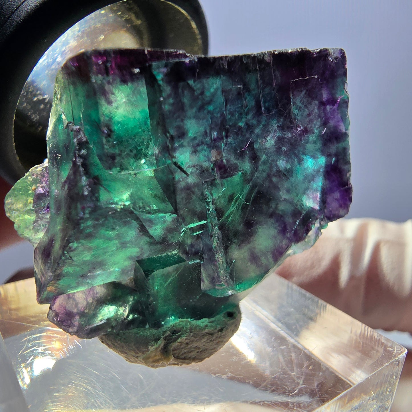 Spécimen de cube de fluorite fantôme, parqueté vert violet Okorusu, Namibie 28*24*22 mm