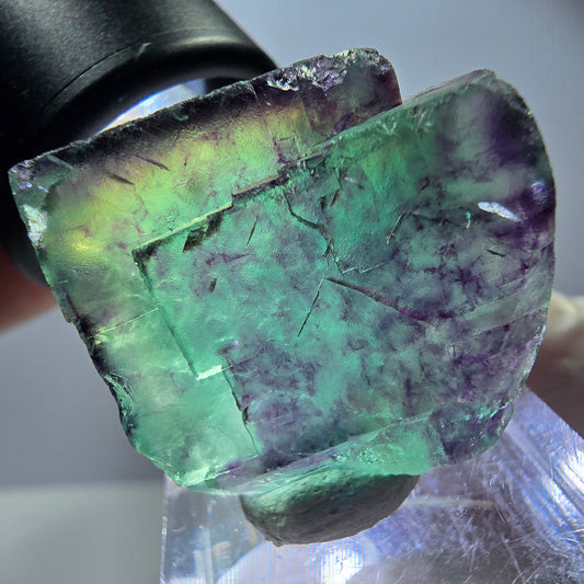 Seltene Fluorit Würfel Stufe, grün lila Okorusu, Namibia 27*27*13mm