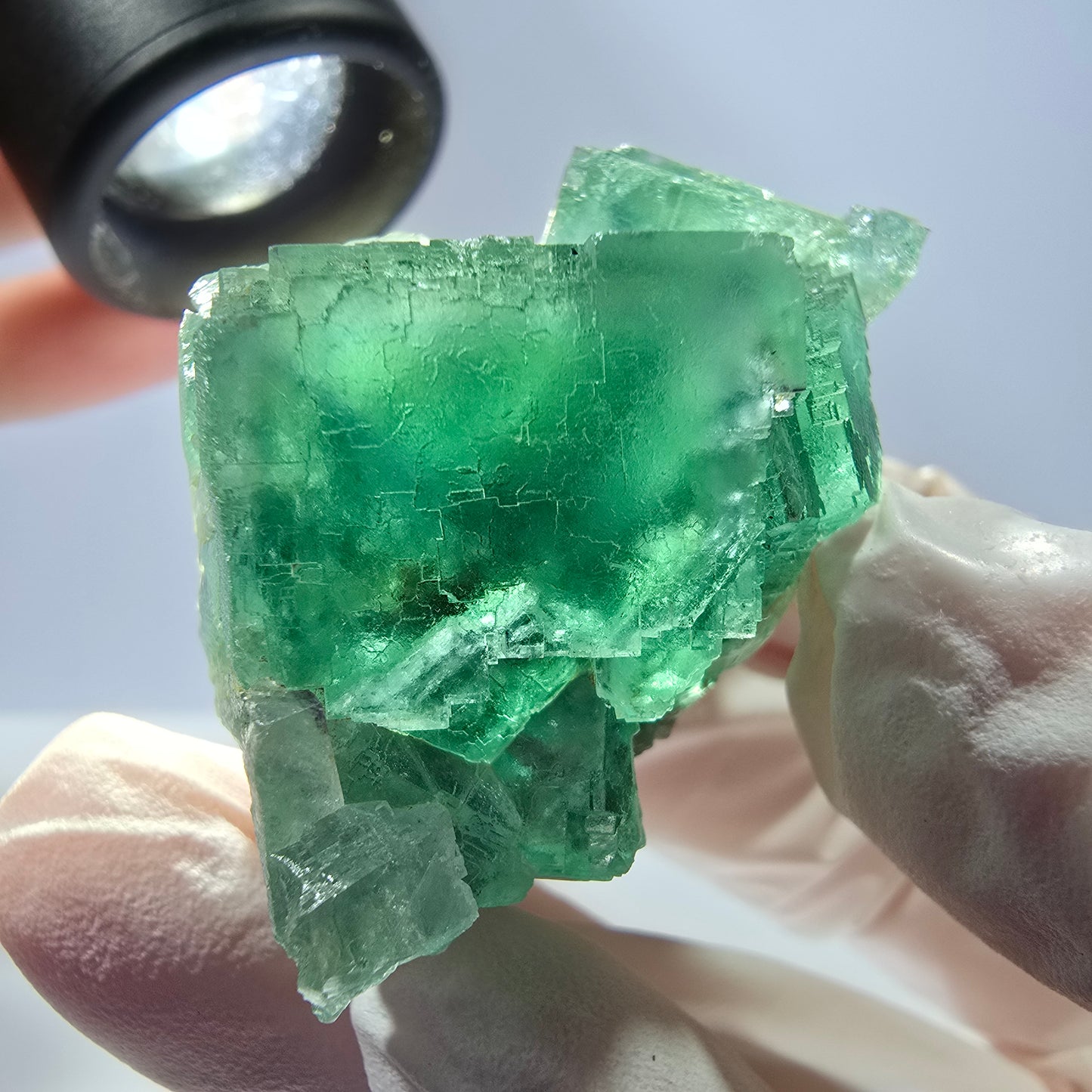 Spécimen de cube de fluorite fantôme transparente, vert parqueté, Okorusu, Namibie, 54 x 33 x 29 mm