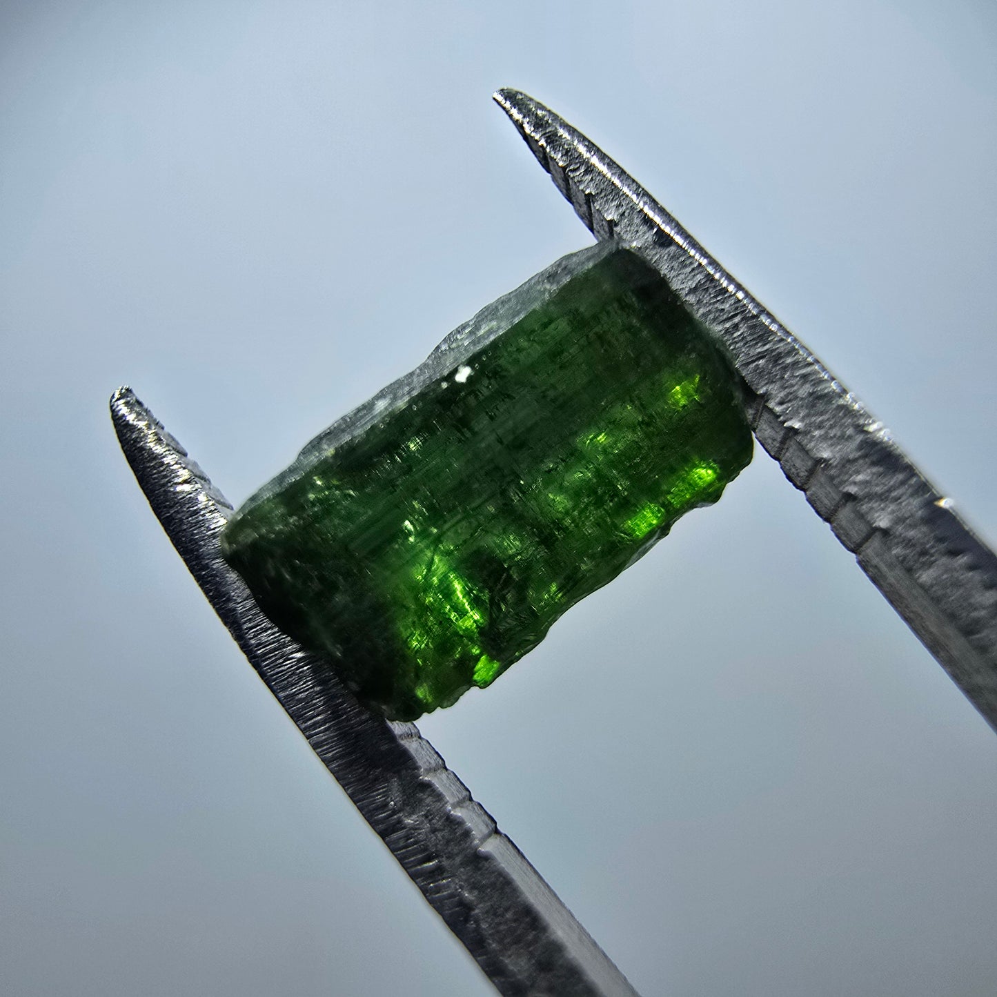 Seltener Verdelith Turmalin Kristall, grün Minas Gerais, Brasilien 10*5*5mm