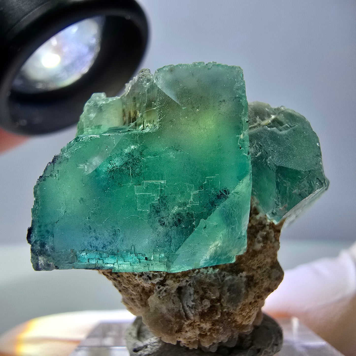 Spécimen de cube de fluorite fantôme, parquet vert Okorusu, Namibie 34*29*28 mm