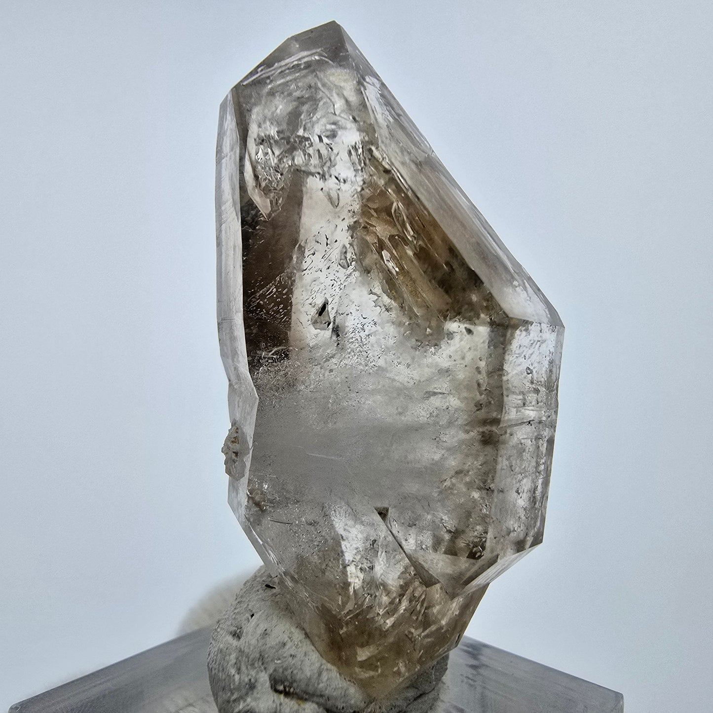 Enhydro Phantom Rauchquarz DT Zepter, 2x Blase Goboboseb, Namibia 47*23*15mm
