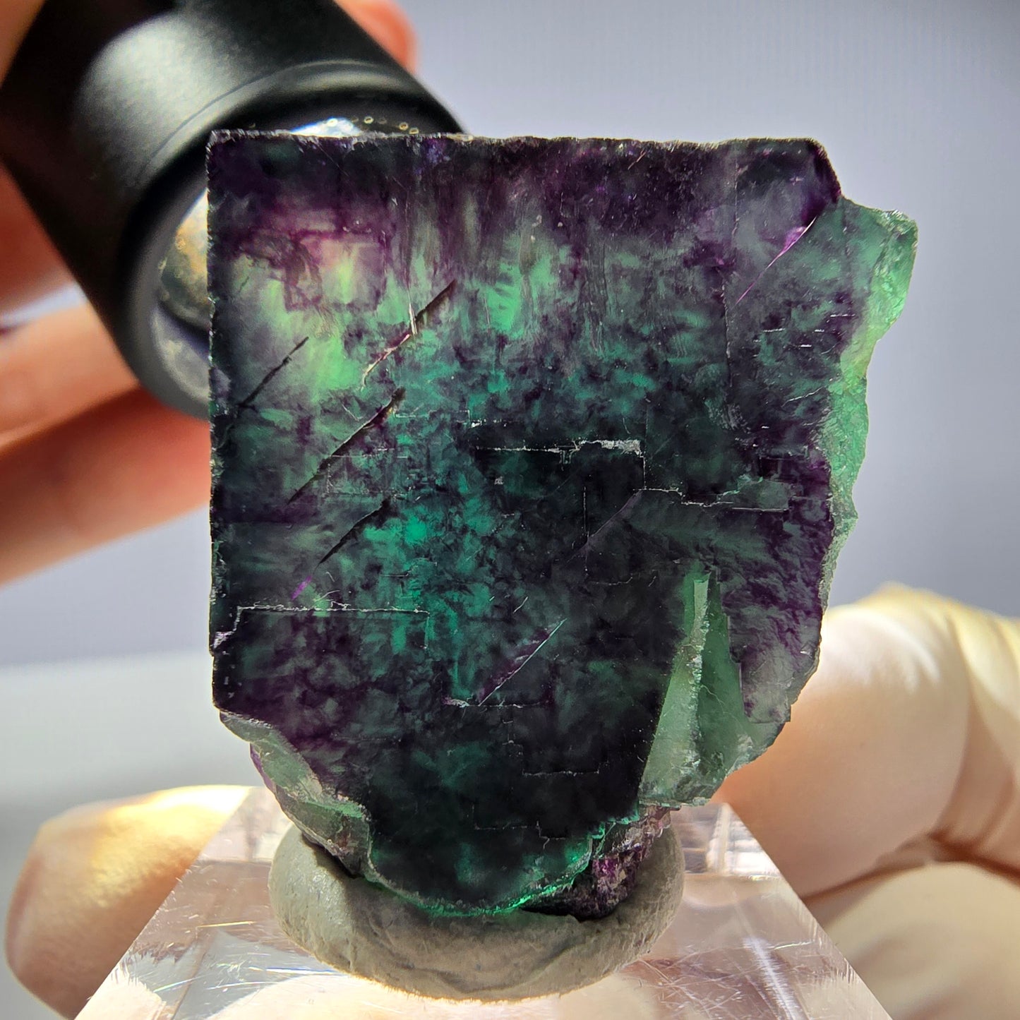 Rare cube de fluorite fantôme parqueté vert violet Okorusu Namibie 31*27*21mm