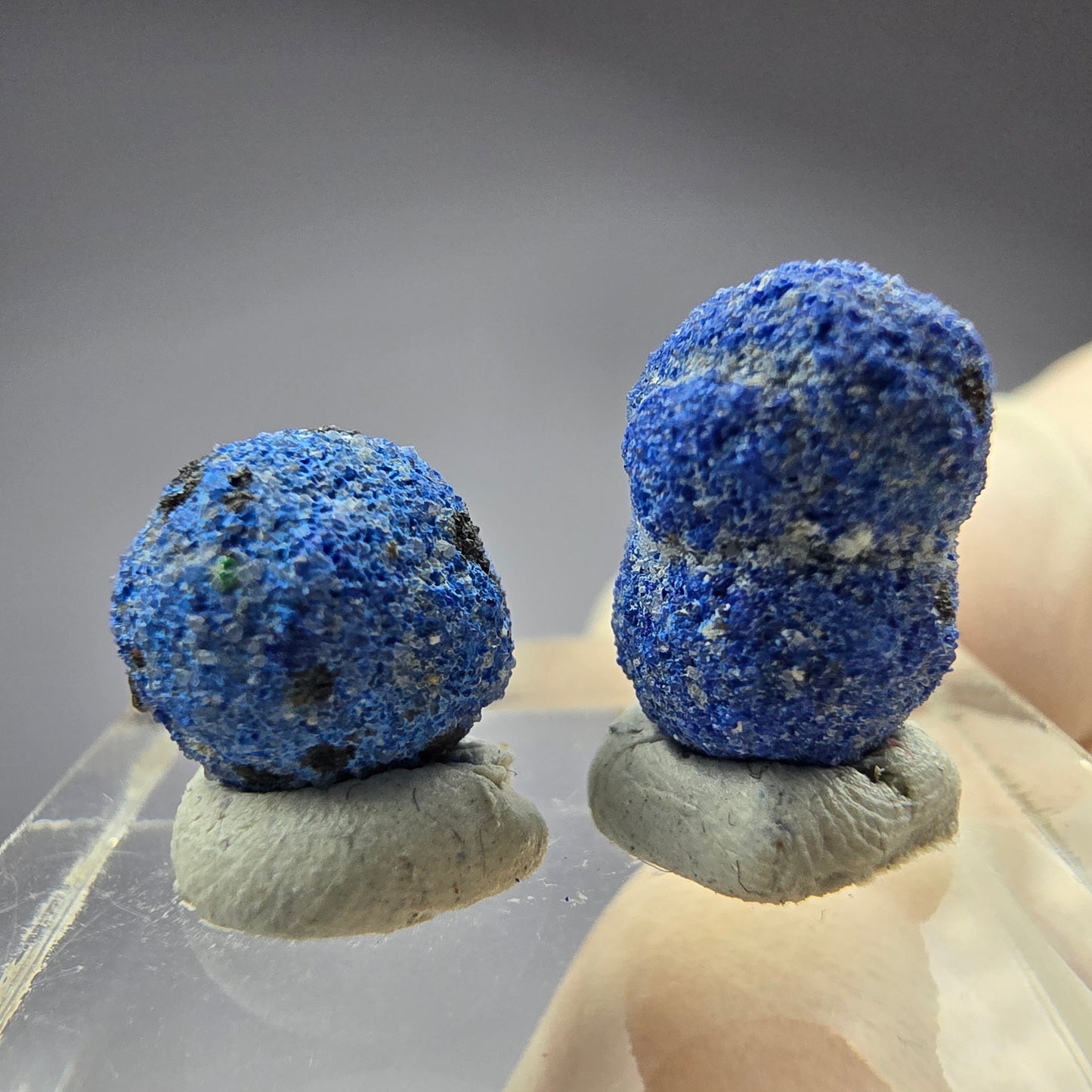 2x seltene Azurit Blueberry - Set 12,1mm + 9,2mm Durchmesser aus USA, New Mexico