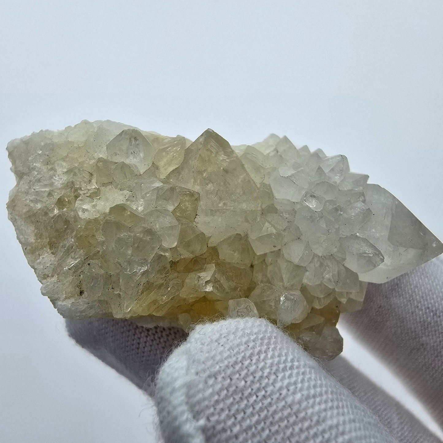 Kaktusquarz, Spirit Quarz XX Stufe Boekenhouthoek, Südafrika 48*26*20mm Sammlung