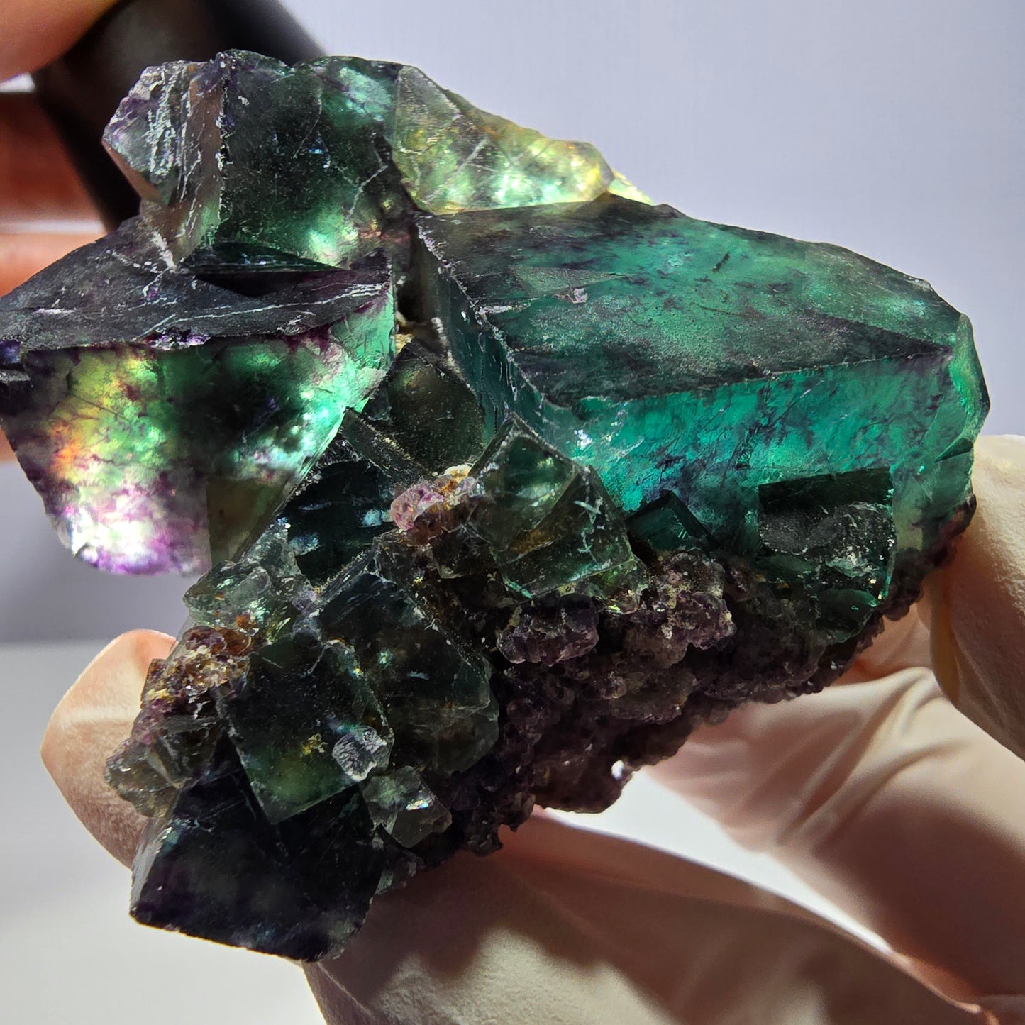 Spécimen de cube de fluorite fantôme, parqueté vert violet Okorusu, Namibie 56*43*28 mm