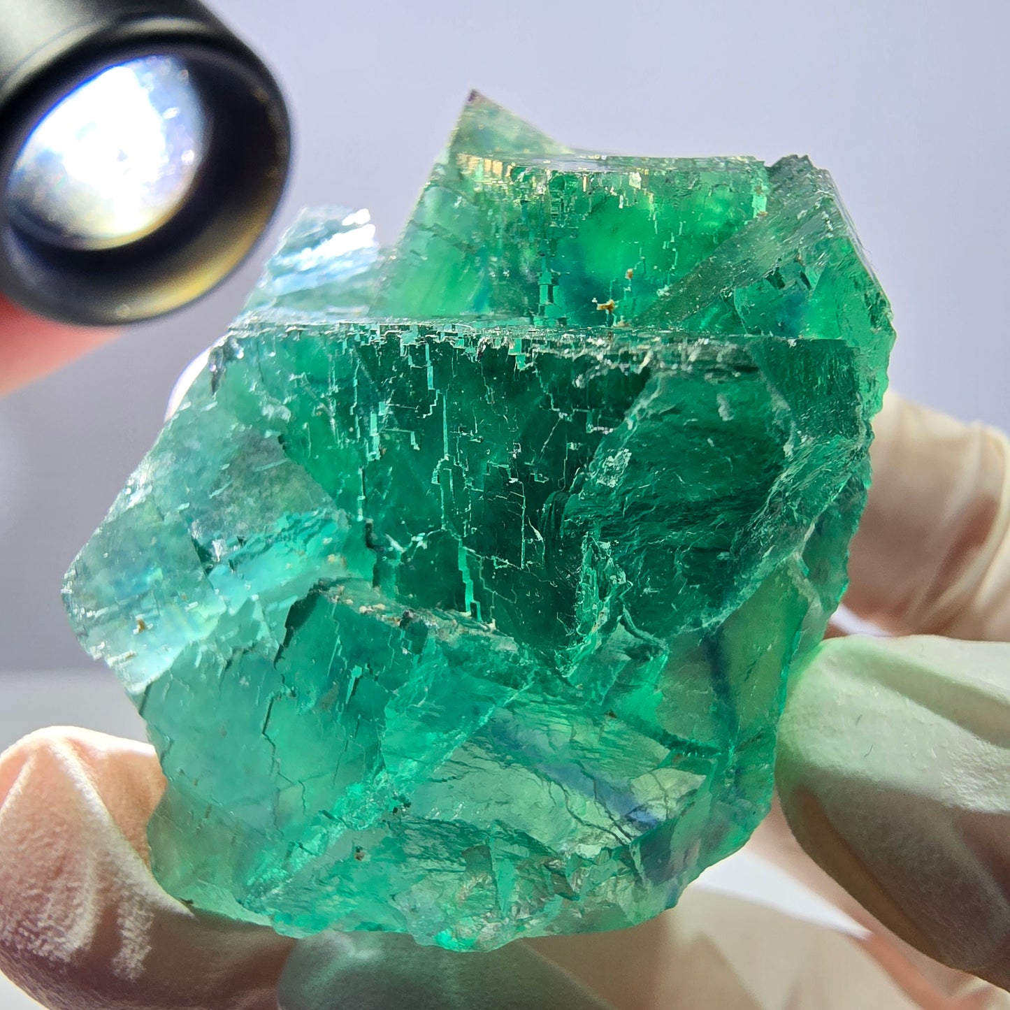 Spécimen de cube de fluorite fantôme transparente, vert parqueté, Okorusu, Namibie, 51 x 40 x 26 mm