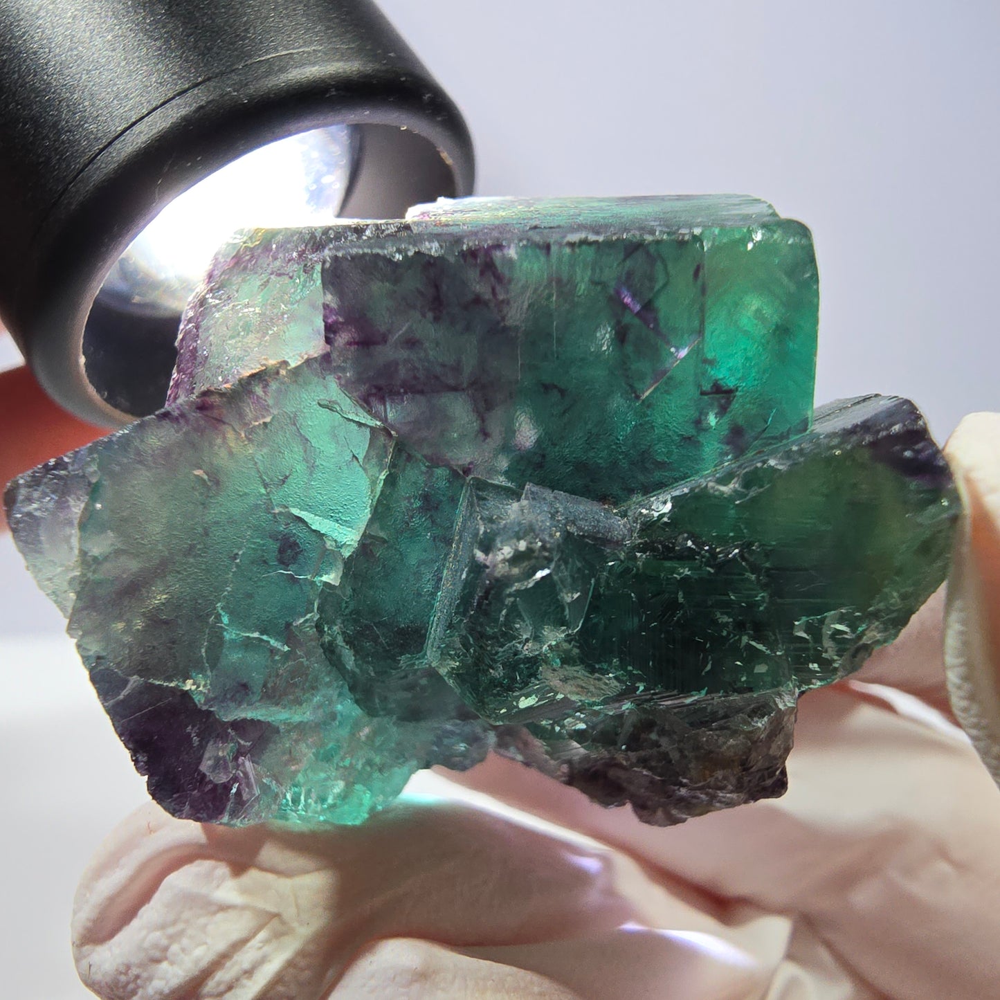 Spécimen de cube de fluorite fantôme, parqueté vert violet Okorusu, Namibie 45*33*24 mm