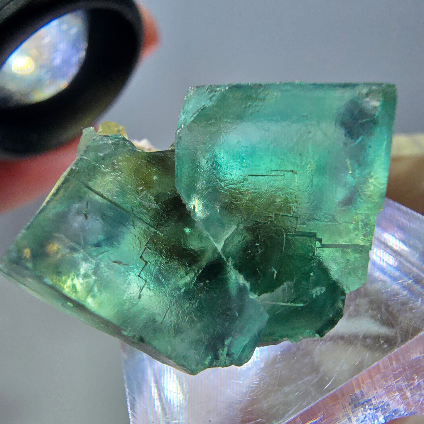 Phantom Fluorit Würfel Stufe, grün parkettiert Okorusu, Namibia 27*24*18mm