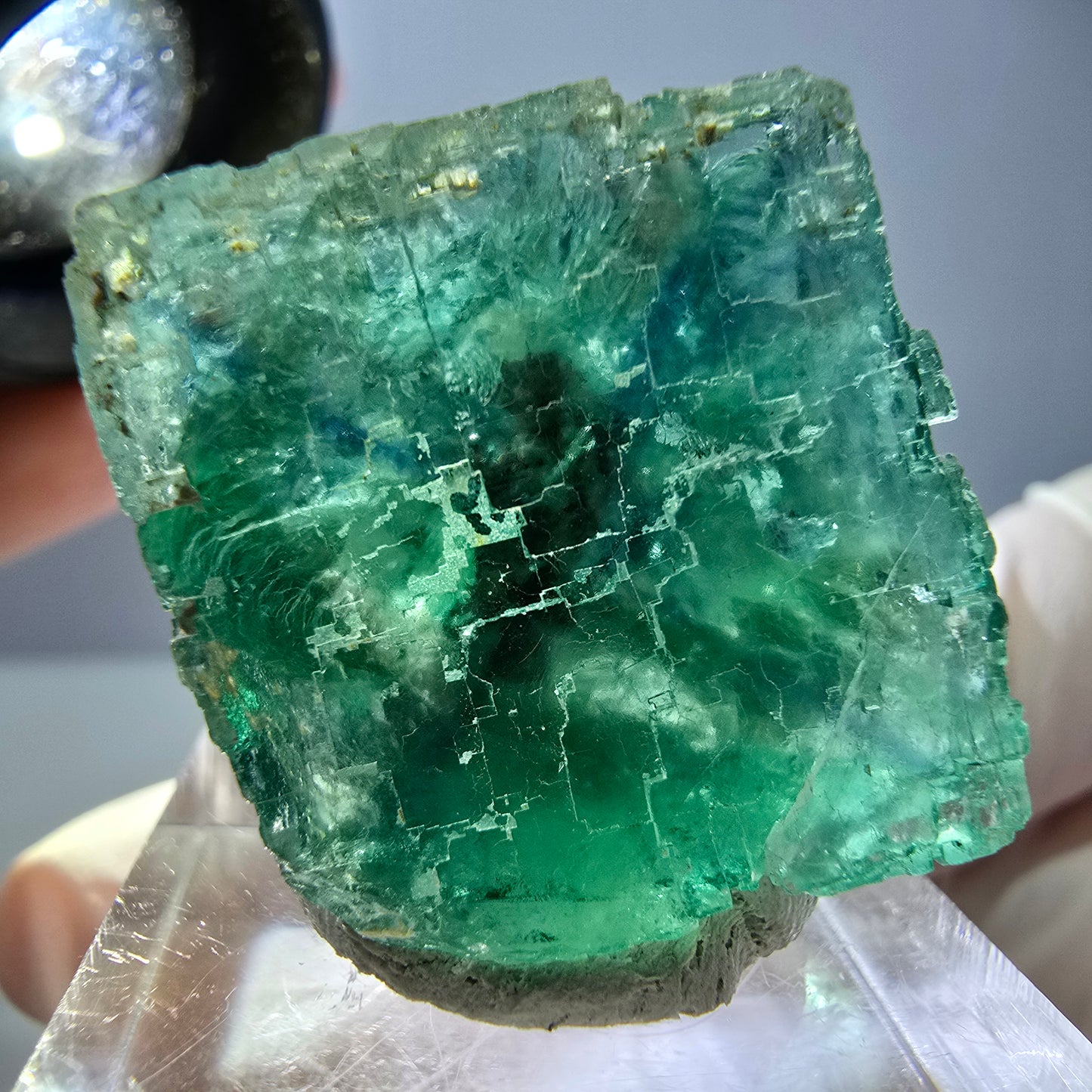 Cube de fluorite fantôme transparente parquetée, vert Okorusu, Namibie 23*23*22mm