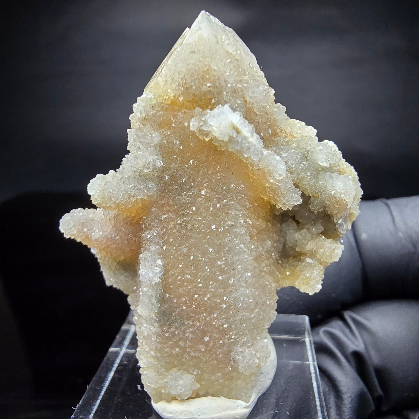 Kaktusquarz, Spirit Quarz XX Stufe Boekenhouthoek, Südafrika 45*37*26mm Sammlung