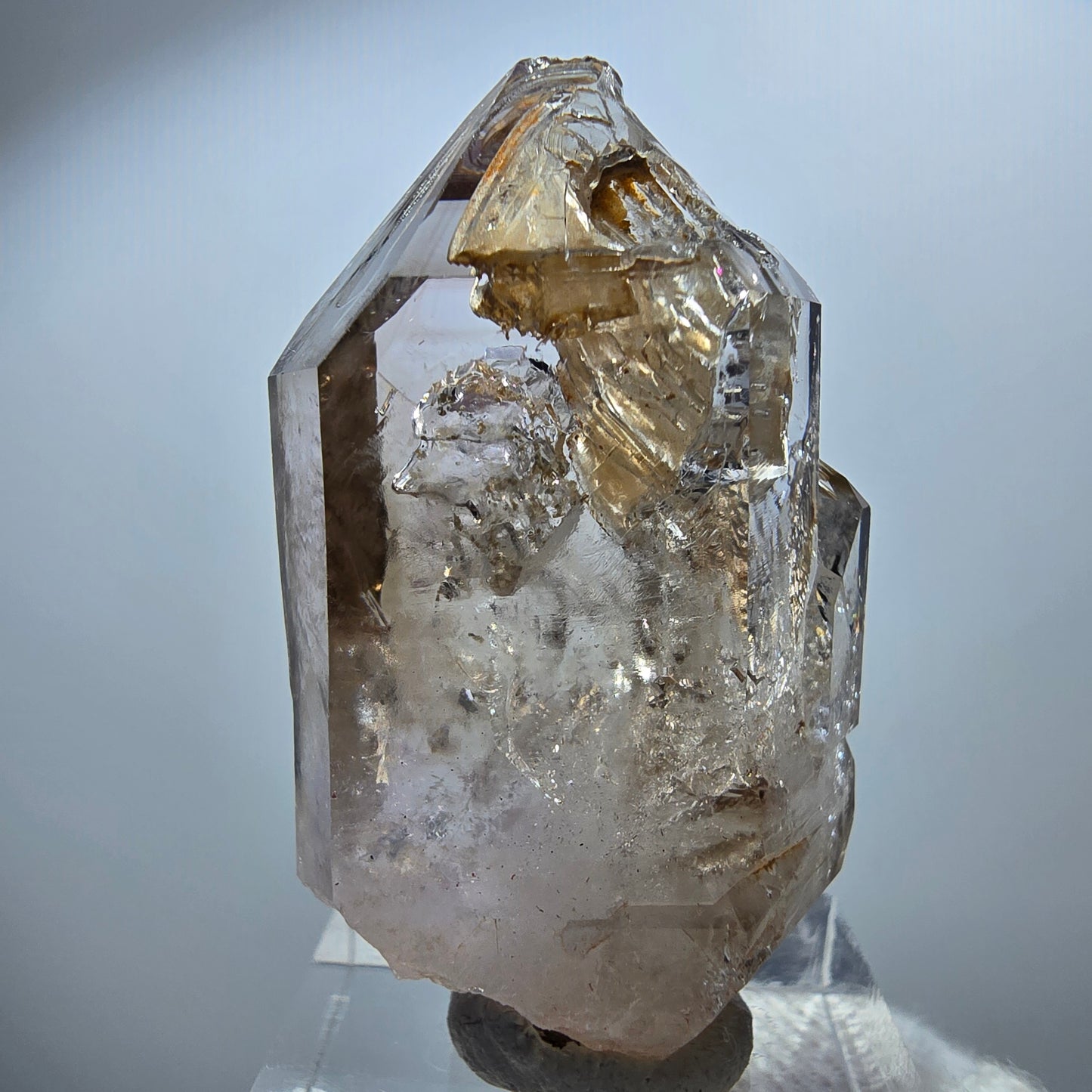 Clear Phantom Smoky Quartz Scepter Point Goboboseb, Namibia 44*26*18mm
