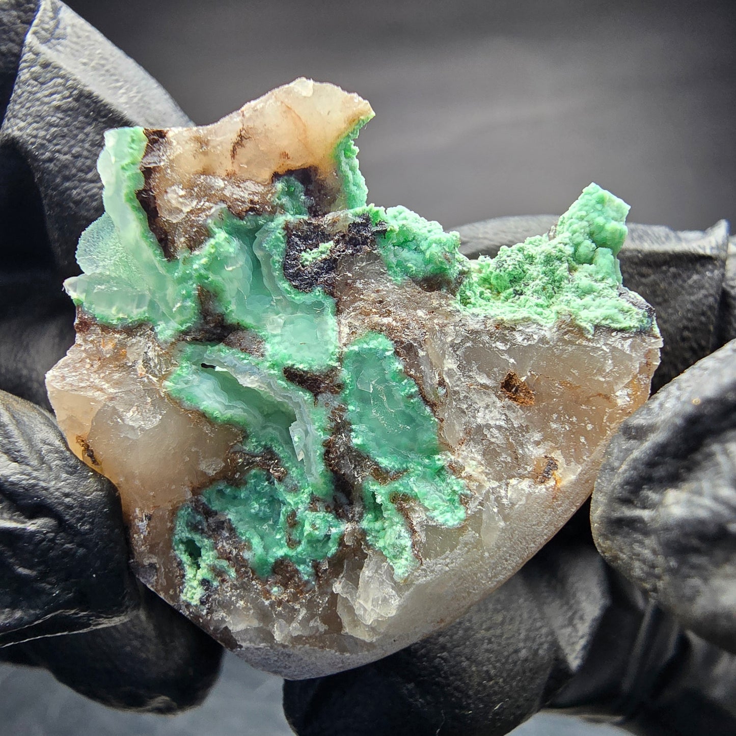 Seltene Shattuckit blau, Malachit Stufe Kaokoveld, Namibia 34*27*21mm Sammlung