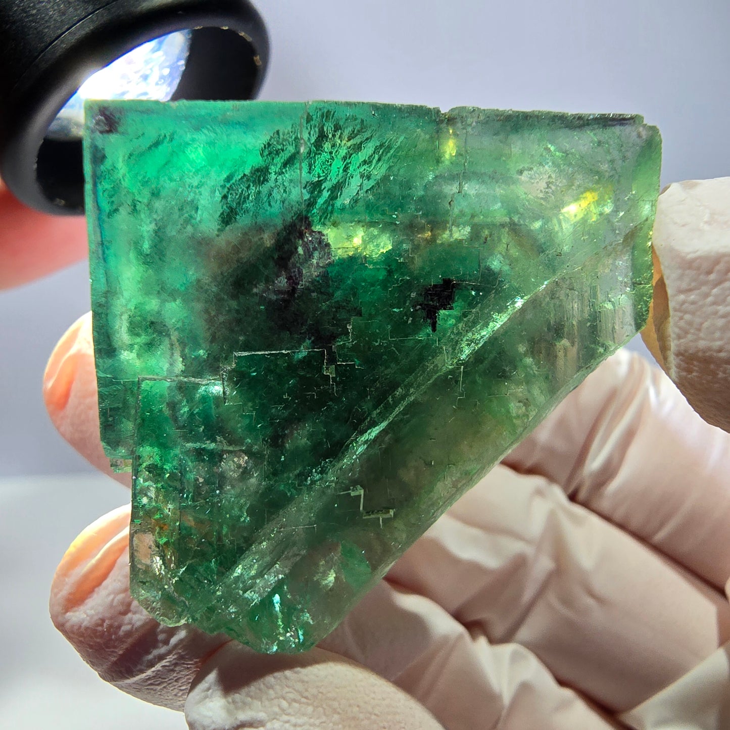 Spécimen de cube de fluorite fantôme, parqueté vert violet Okorusu, Namibie 43*42*32 mm