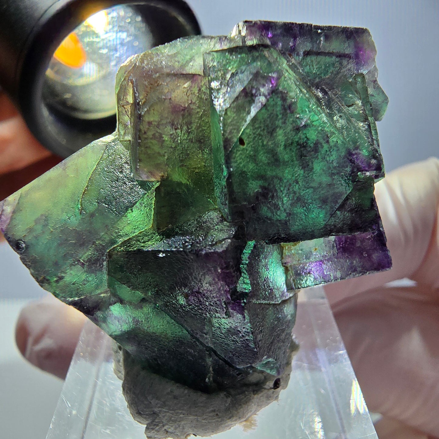 Phantom Fluorit Würfel Stufe, parkettiert grün lila Okorusu, Namibia 39*31*18mm