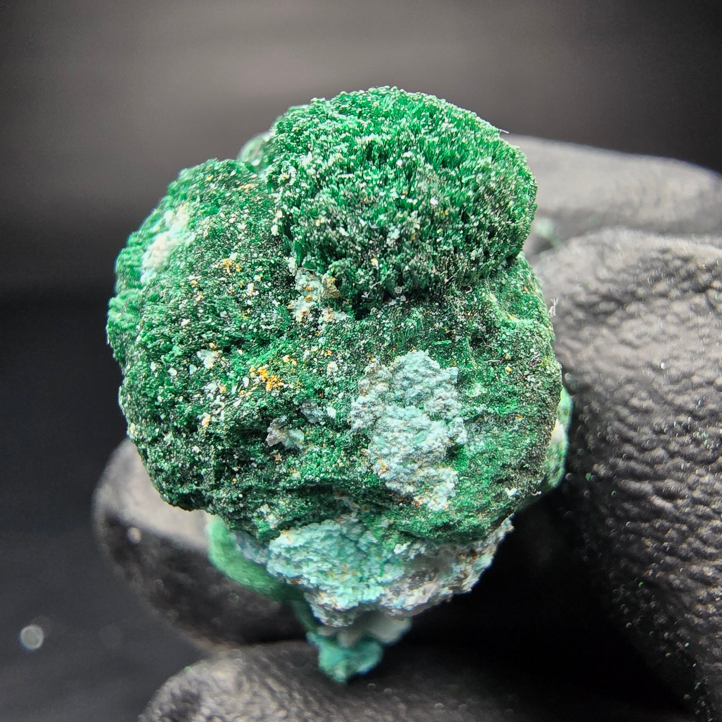 Seltene Malachit, Chrysokoll Stufe Kaokoveld, Namibia 25*20*17mm Sammlung