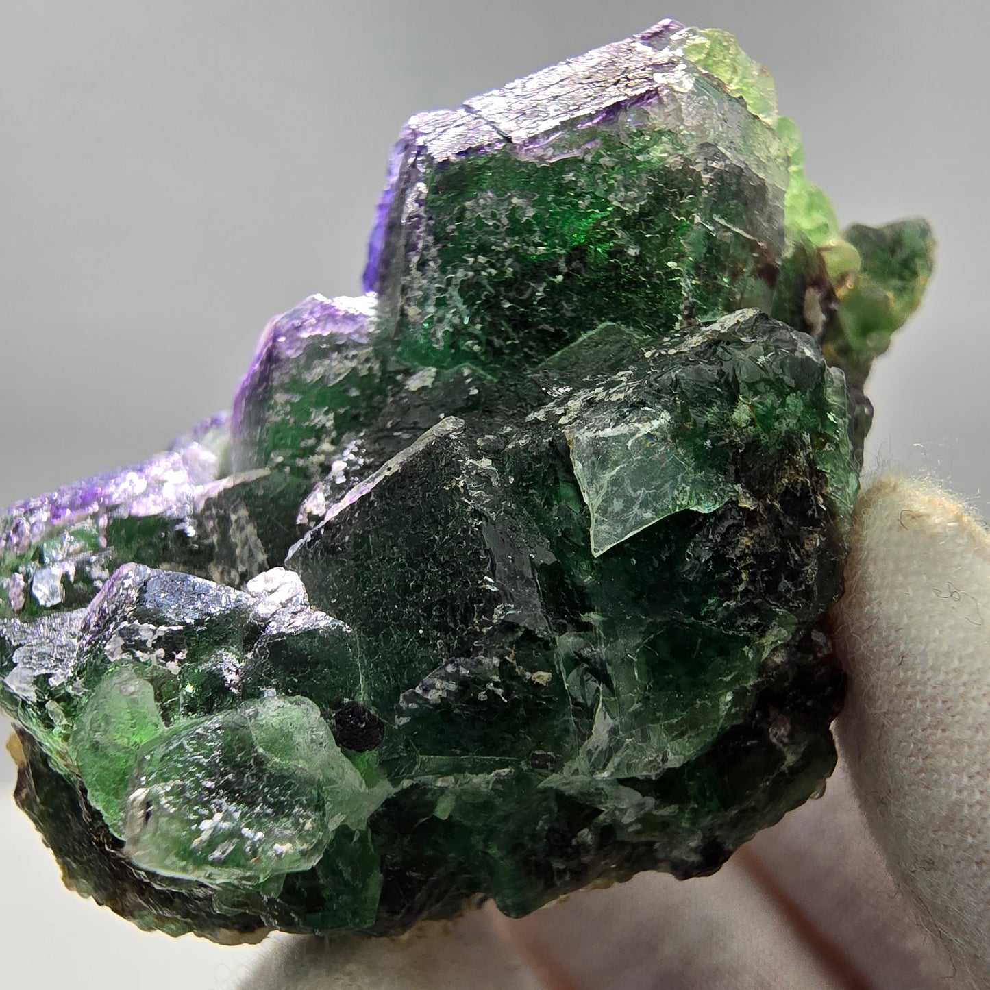 Phantom Fluorit Würfel Stufe grün lila Erongo, Namibia 67*40*35mm Sammlung