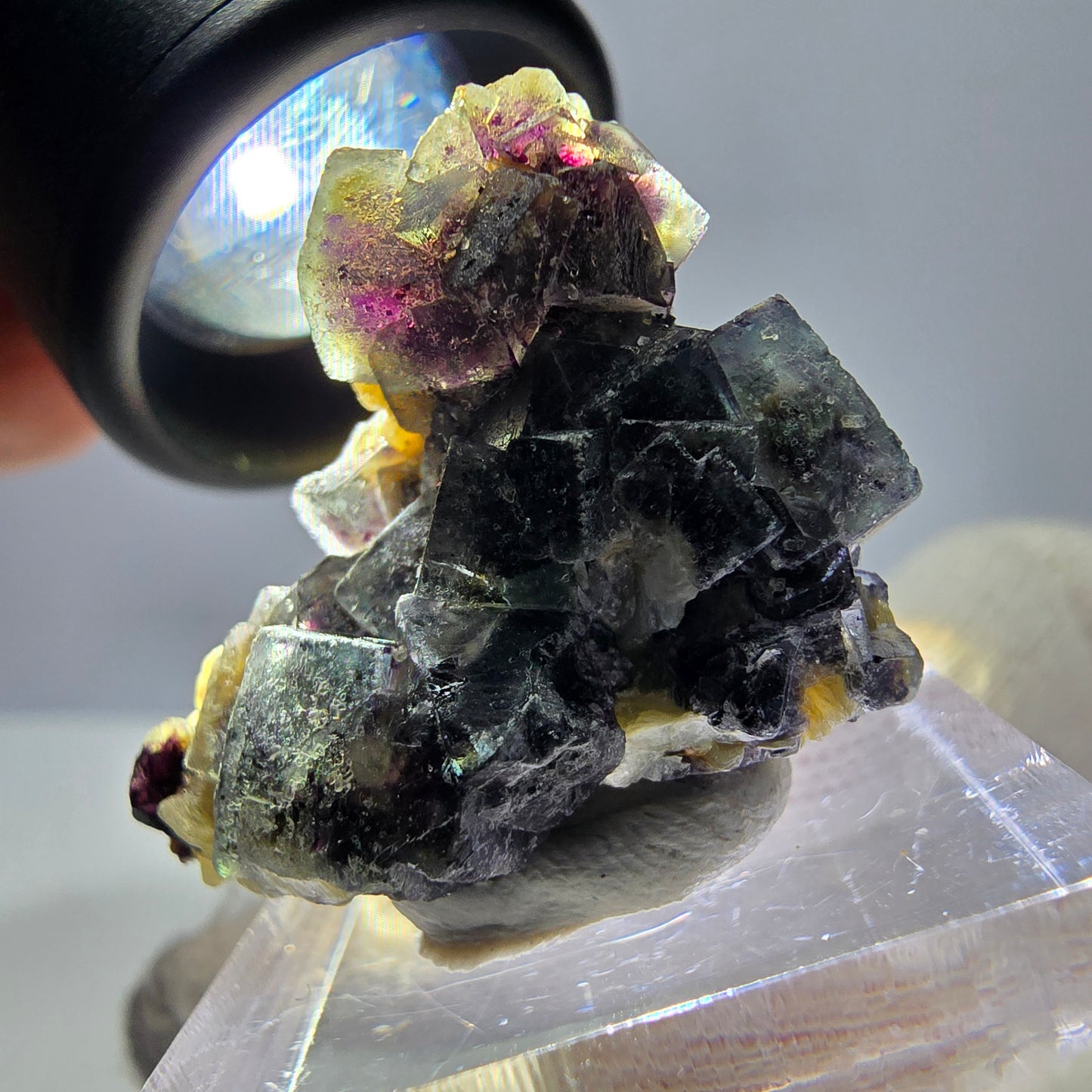 Cubes de fluorite fantôme colorés, spécimen de muscovite, Erongo, Namibie, 31 x 25 x 23 mm