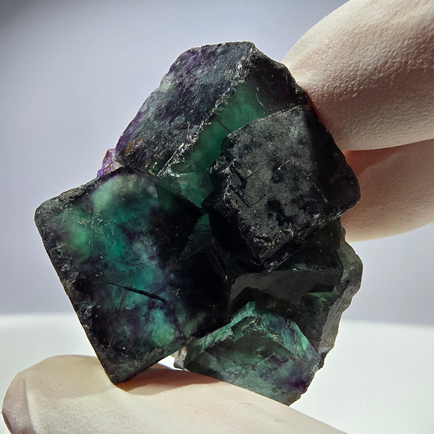 Spécimen de cube de fluorite fantôme parqueté vert violet Okorusu, Namibie 44*35*21mm