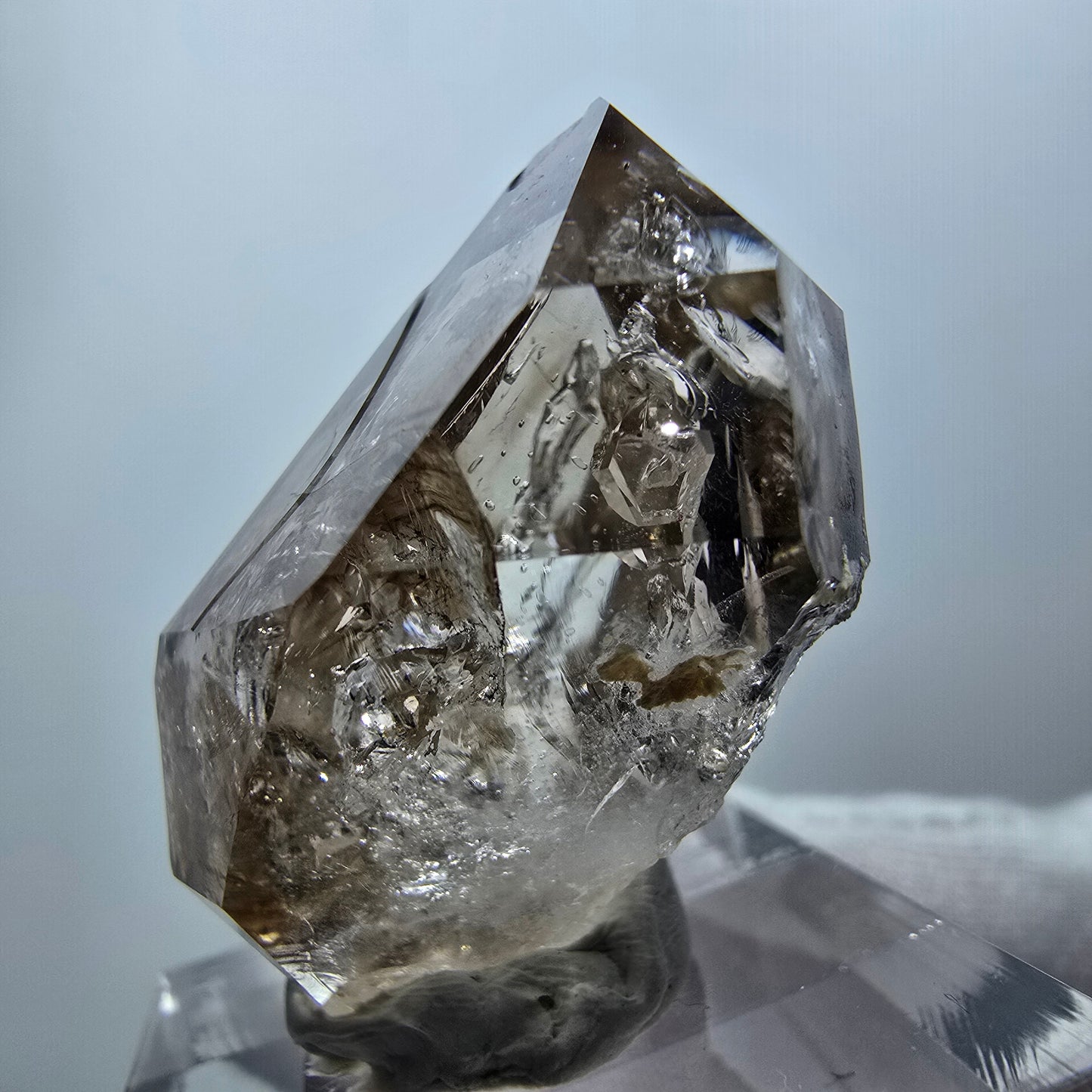 Enhydro Phantom Rauchquarz Zepter, 1x Blase Goboboseb, Namibia 32*23*18mm
