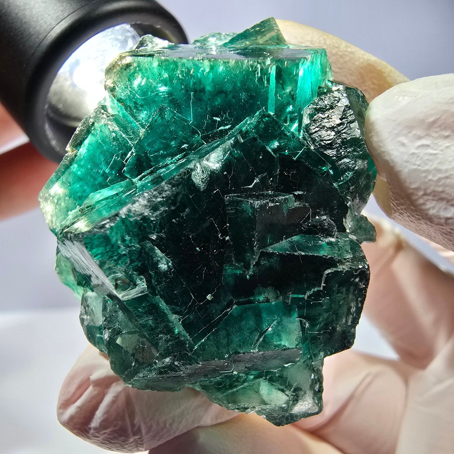 Spécimen de cube de fluorite fantôme, parqueté vert violet Okorusu, Namibie 47*36*24 mm