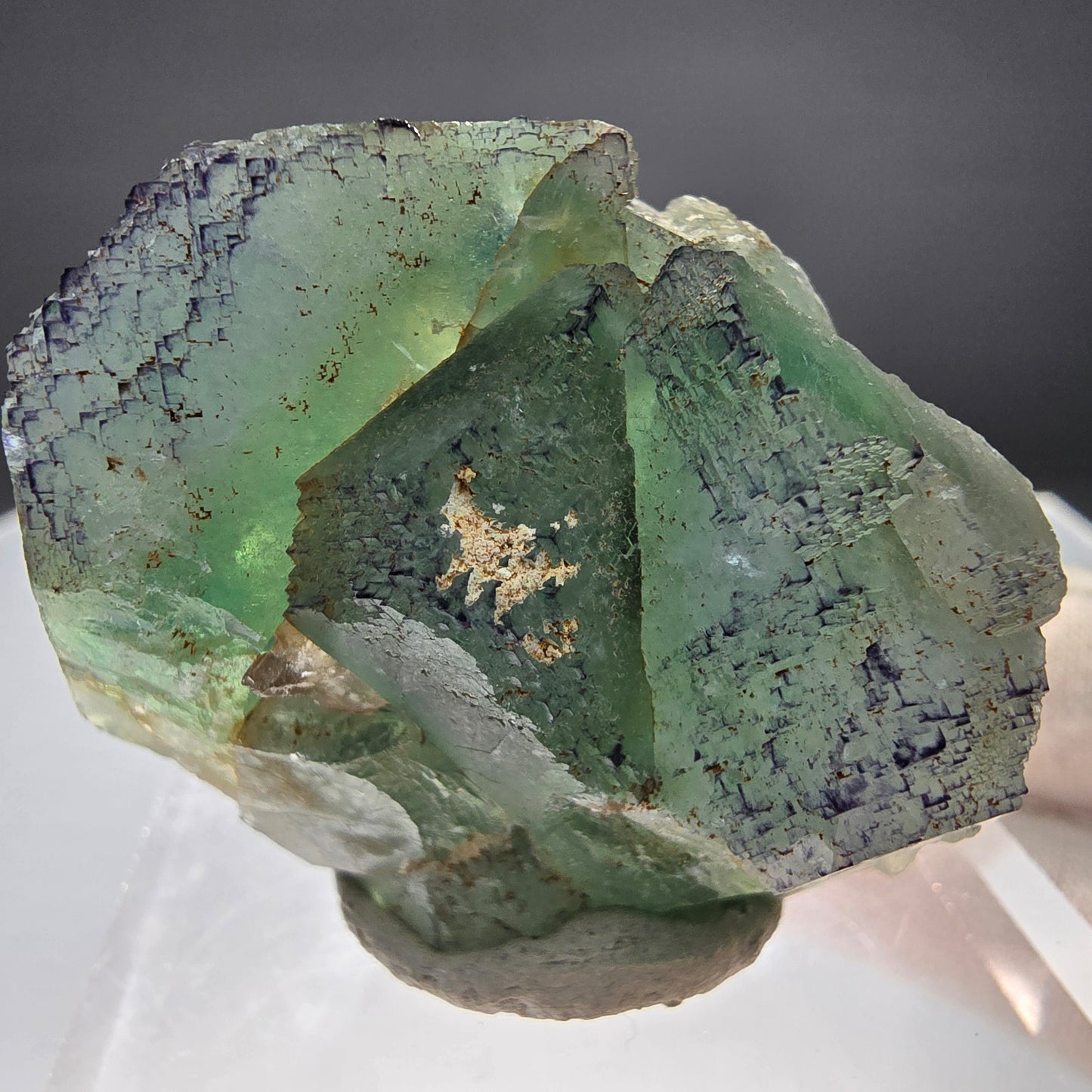 Phantom Fluorit Würfel Stufe grün lila parkettiert Okorusu, Namibia 50*37*25mm