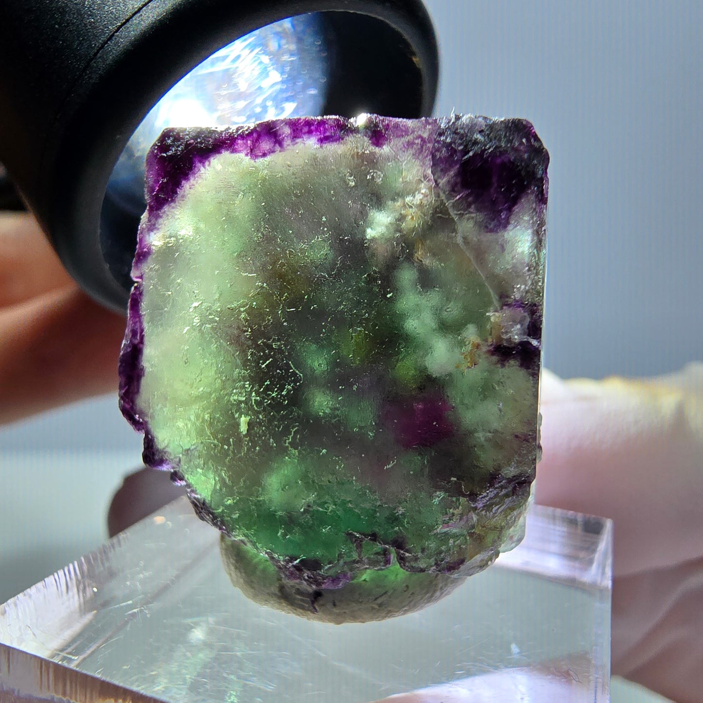 Phantom Fluorit Würfel Stufe, parkettiert, zonal Okorusu, Namibia 24*22*13mm