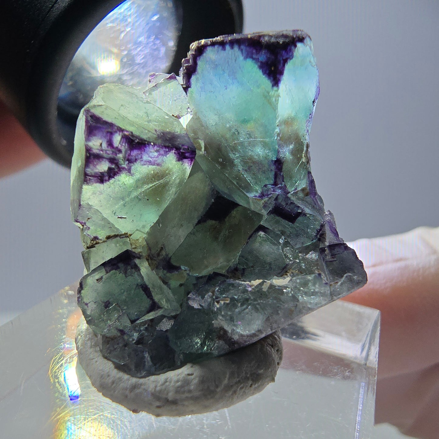 Phantom Fluorit Würfel Stufe, parkettiert, zonal Okorusu, Namibia 28*24*18mm
