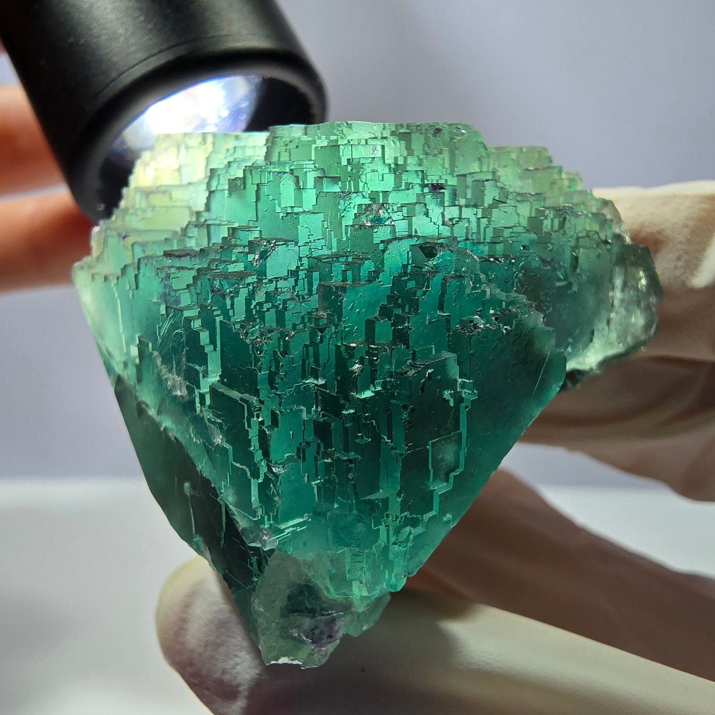 Spécimen de cube de fluorite fantôme transparente, vert parqueté, Okorusu, Namibie, 60 x 44 x 40 mm