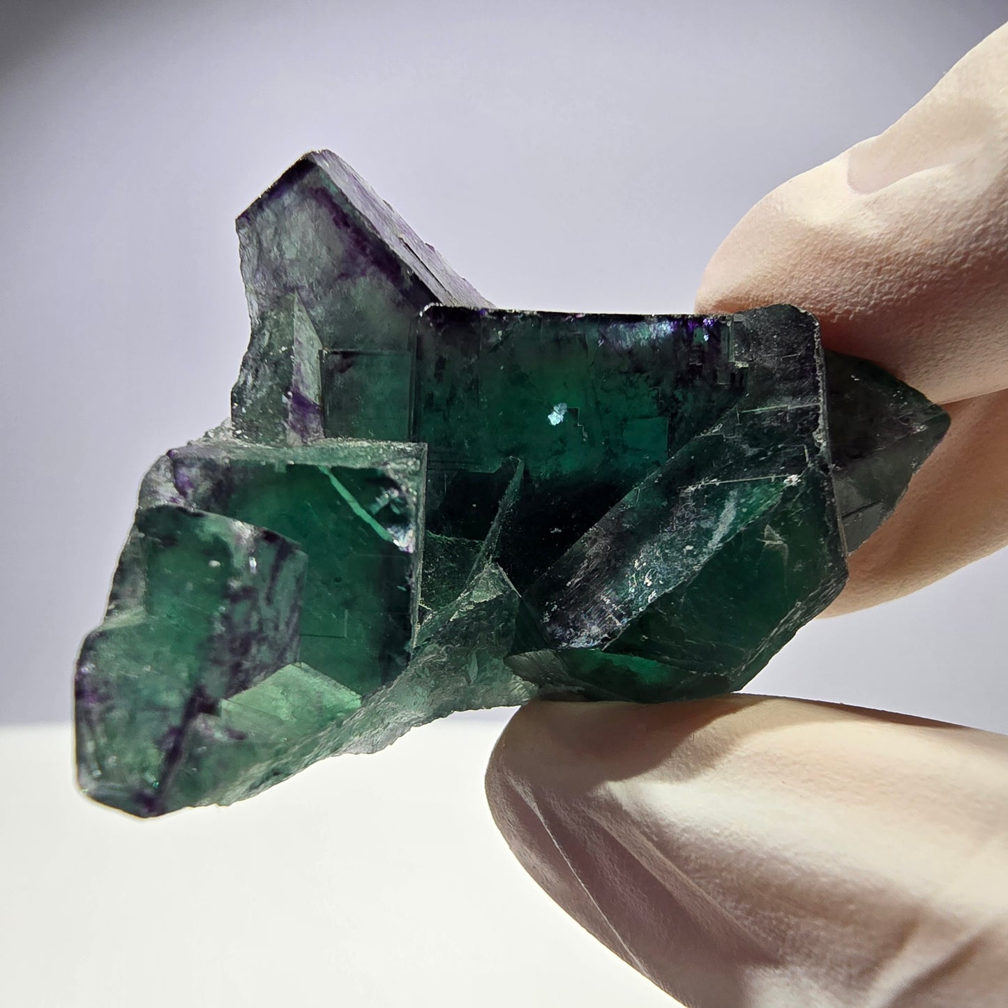 Spécimen de cube de fluorite fantôme parqueté vert violet Okorusu, Namibie 46*34*32mm