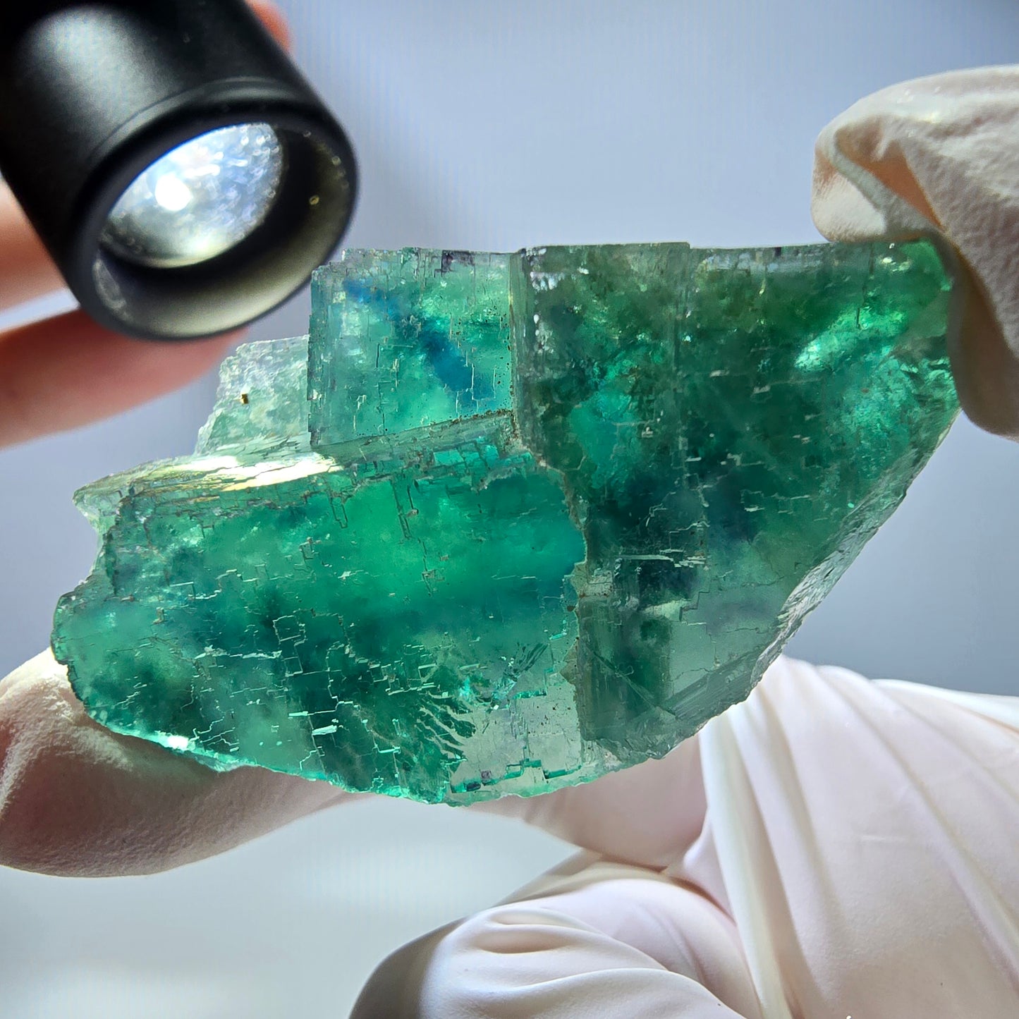 Spécimen de cube de fluorite fantôme transparente, vert parqueté, Okorusu, Namibie, 50 x 34 x 21 mm
