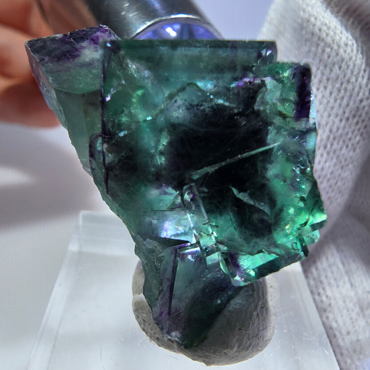 Rare spécimen de cube de fluorite fantôme, vert-violet zonal, Okorusu, Namibie, 31 x 21 x 15 mm