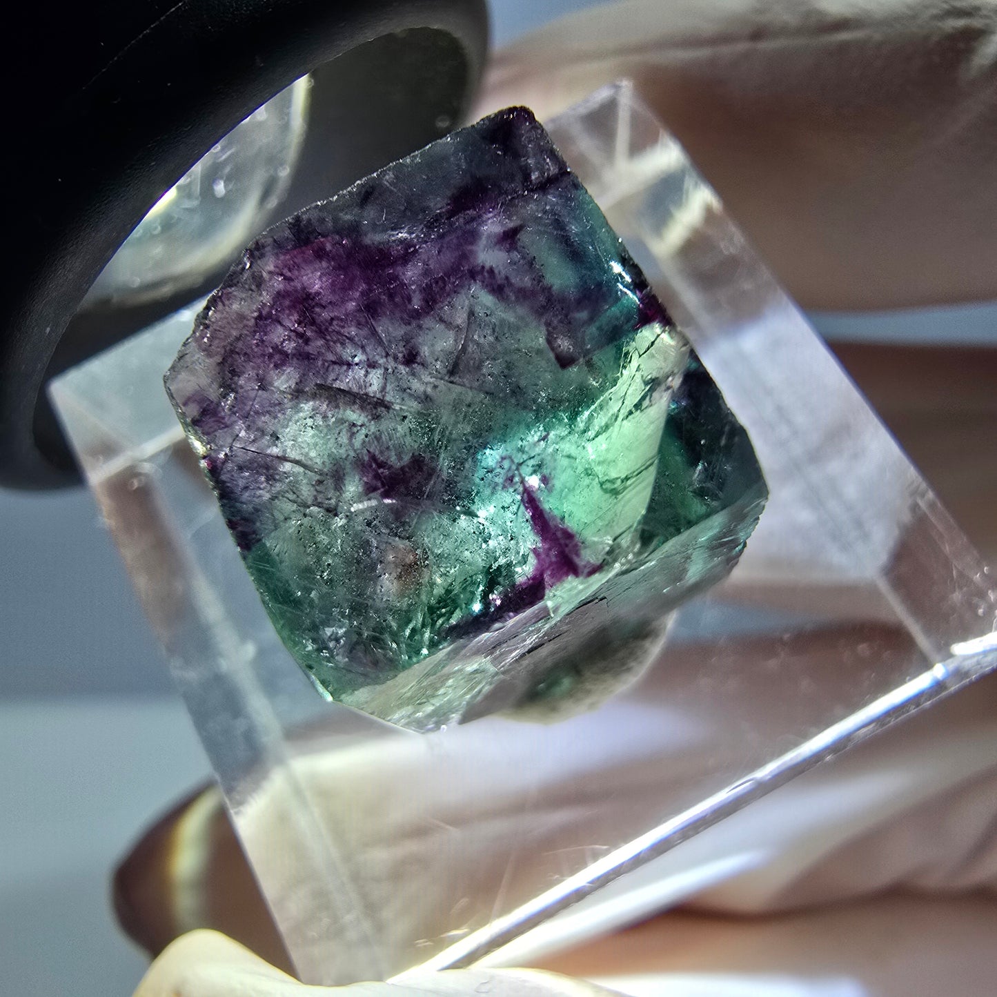 Phantom Fluorit Würfel Stufe, parkettiert grün lila Okorusu, Namibia 14*13*12mm