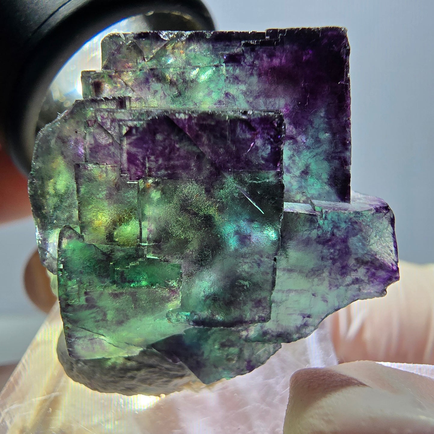 Phantom Fluorit Würfel Stufe, parkettiert grün lila Okorusu, Namibia 33*25*19mm