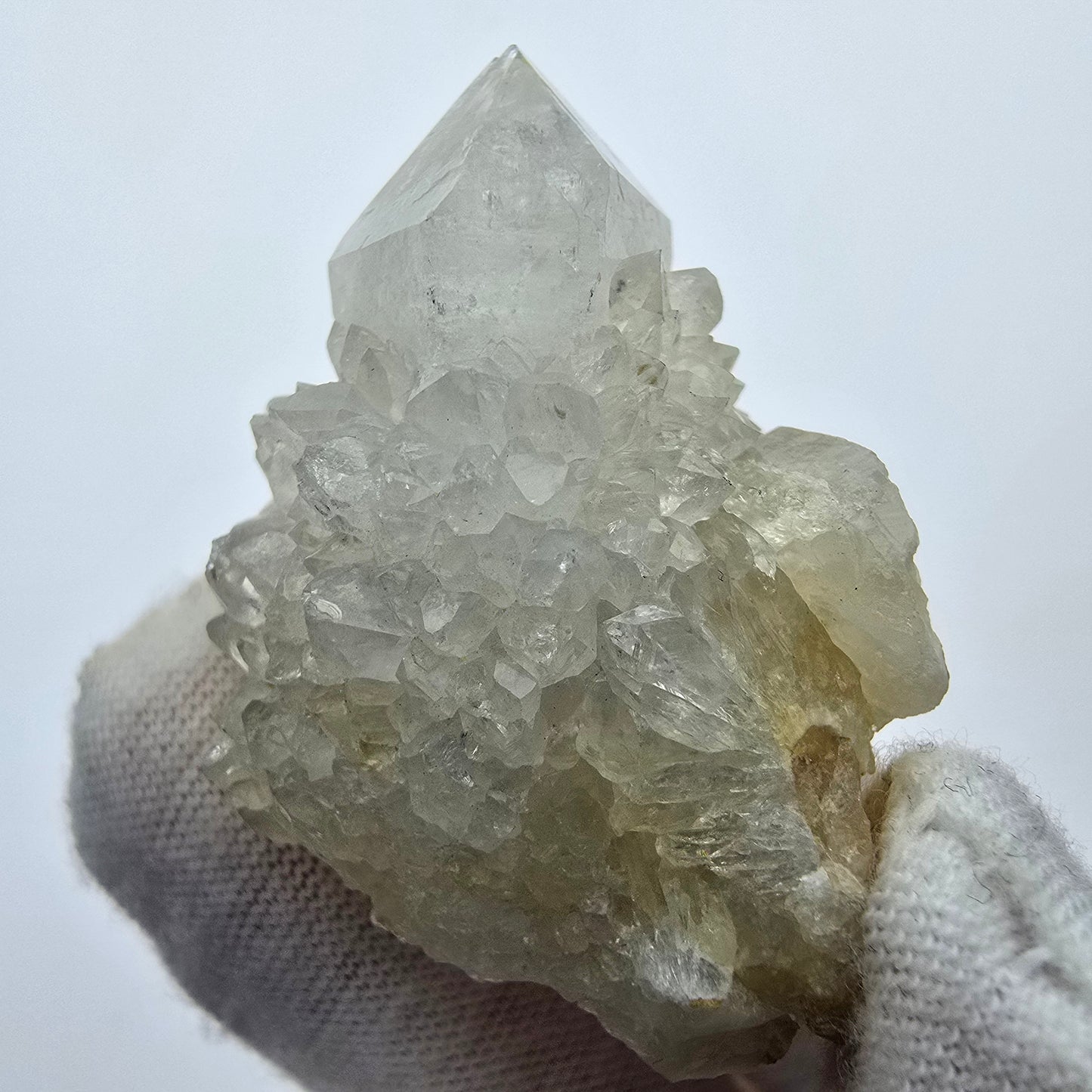 Kaktusquarz, Spirit Quarz XX Stufe Boekenhouthoek, Südafrika 41*30*25mm Sammlung