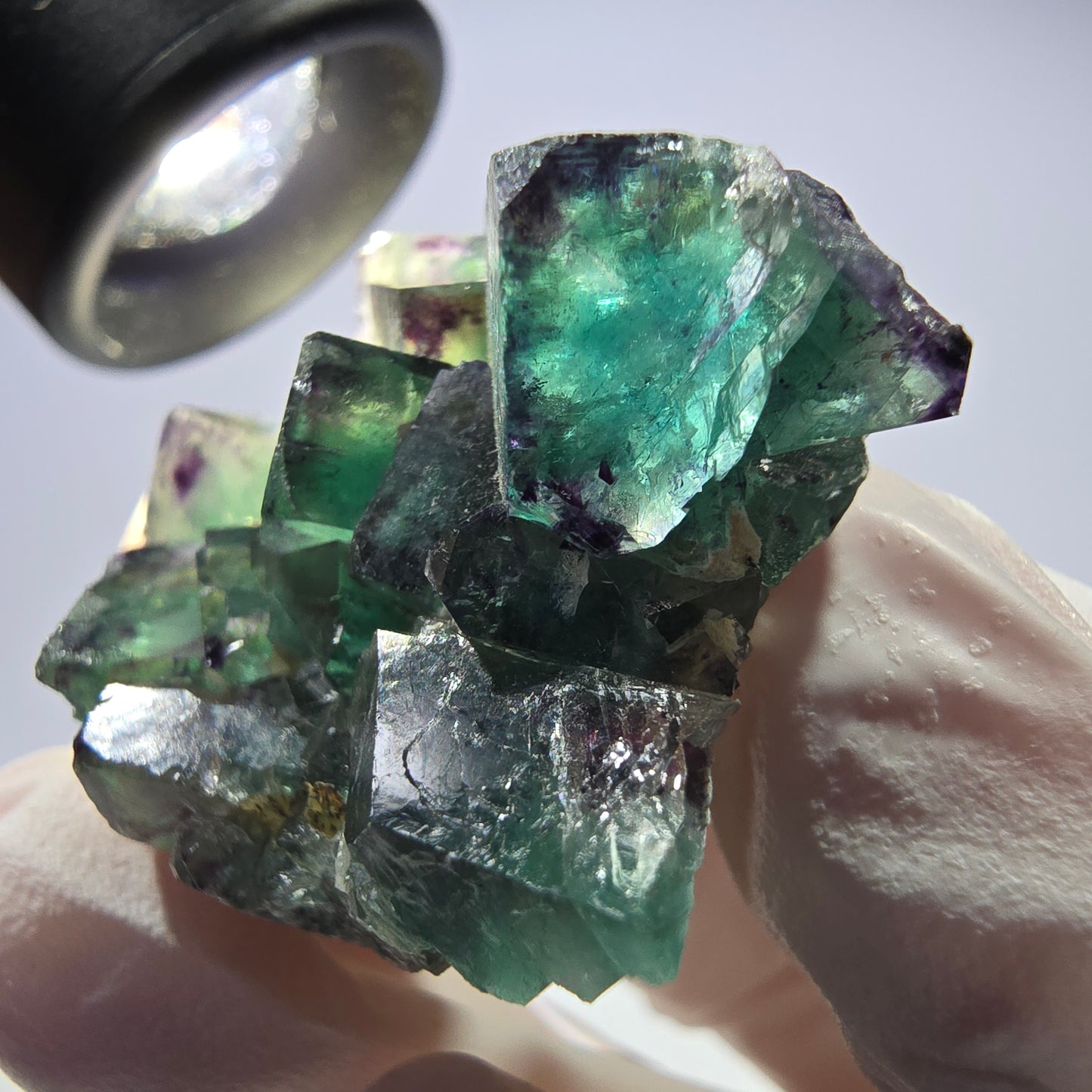 Spécimen de cube de fluorite fantôme parqueté vert violet Okorusu, Namibie 42*33*14 mm
