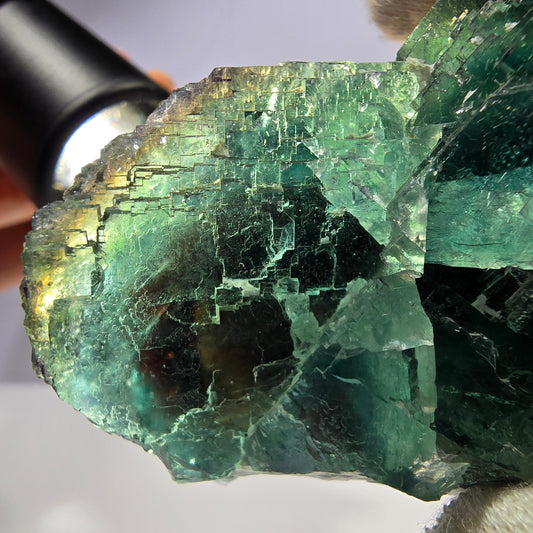 Rare spécimen de cube de fluorite fantôme, parqueté vert Okorusu, Namibie, 78 x 47 x 35 mm