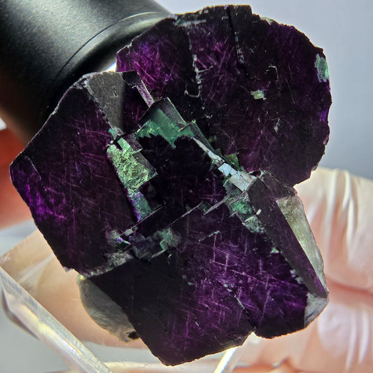 Phantom Fluorit Würfel Stufe grün lila zonal 11:11 Angel Pocket, Namibia 30*28*25mm