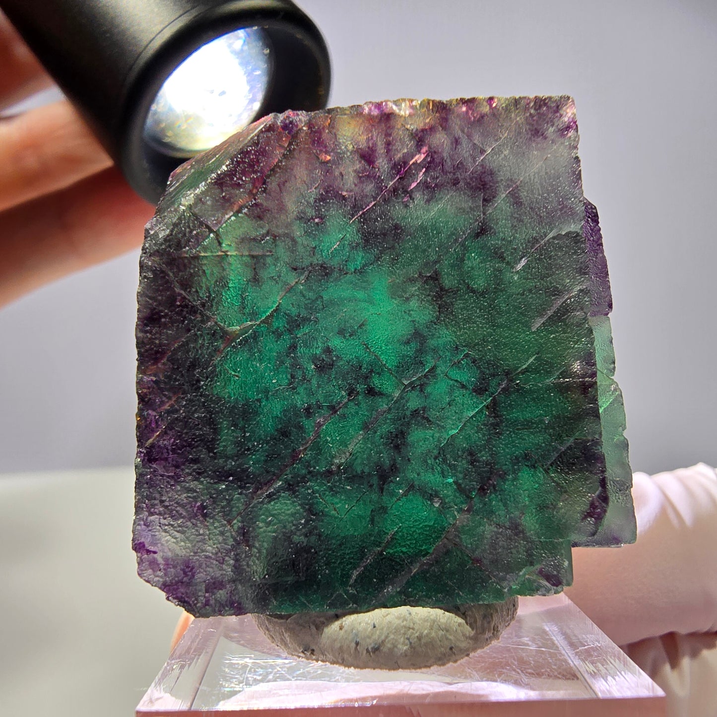 Rare cube de fluorite fantôme parqueté vert violet Okorusu Namibie 35*35*25mm
